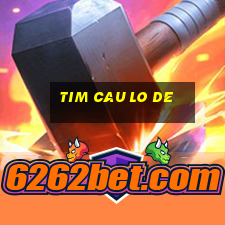 tim cau lo de