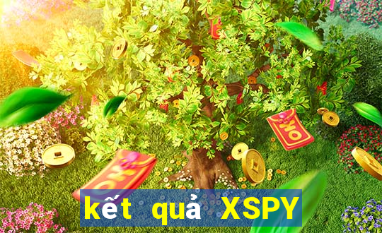 kết quả XSPY ngày 4