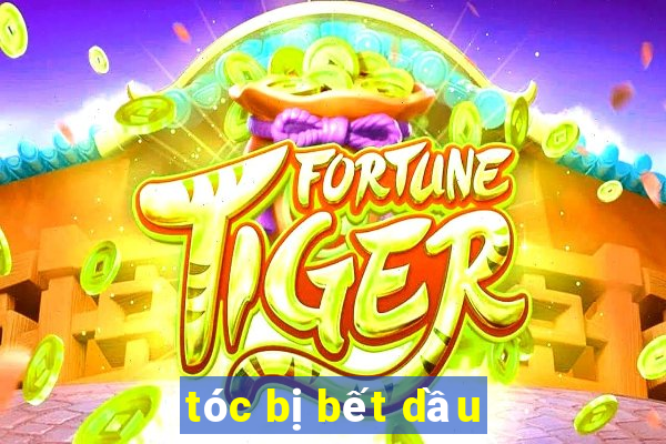 tóc bị bết dầu