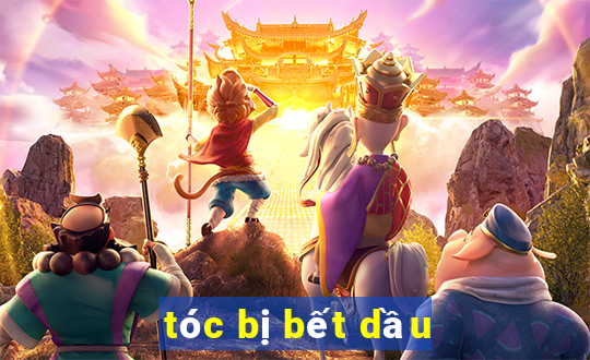 tóc bị bết dầu