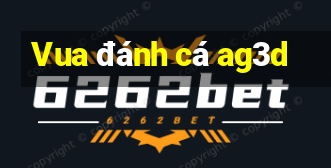 Vua đánh cá ag3d