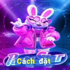 Cách đặt cược XSLA ngày 21