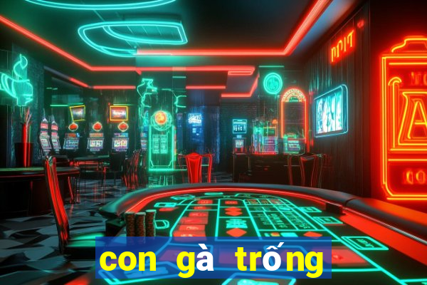 con gà trống đánh số mấy