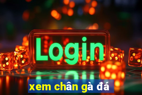 xem chân gà đá