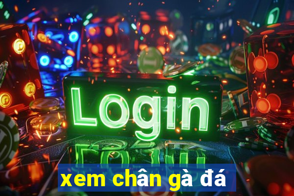 xem chân gà đá