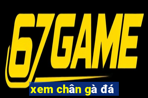 xem chân gà đá