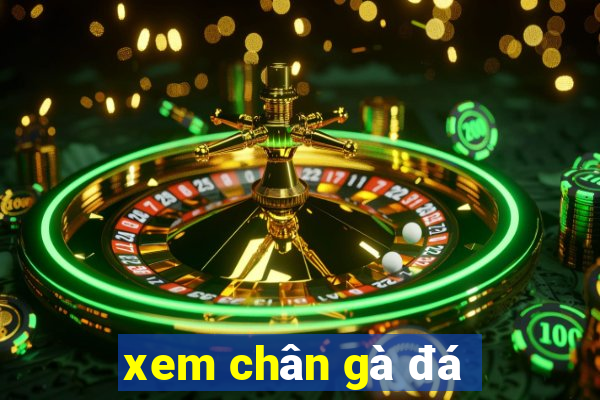 xem chân gà đá