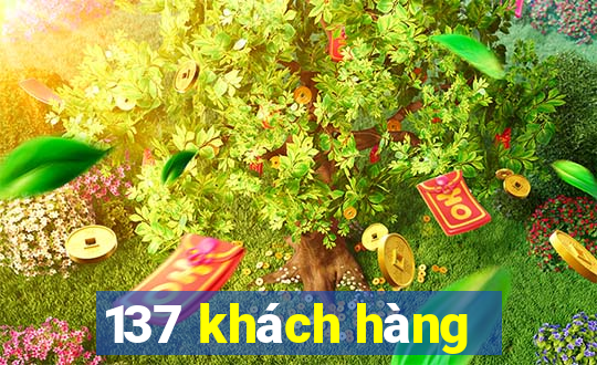 137 khách hàng