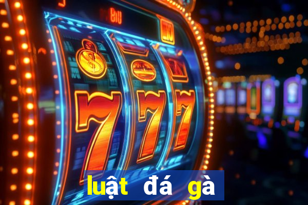 luật đá gà cựa dao