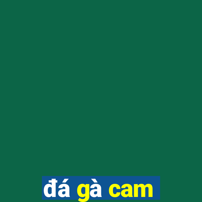 đá gà cam