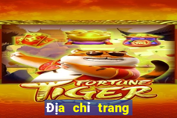 Địa chỉ trang web màu CD