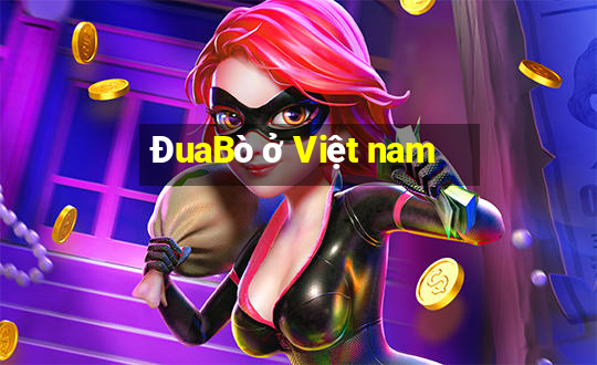 ĐuaBò ở Việt nam