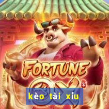 kèo tài xỉu 2.1 4