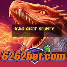 xác chết số mấy