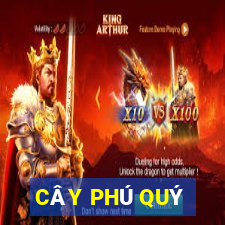 CÂY PHÚ QUÝ