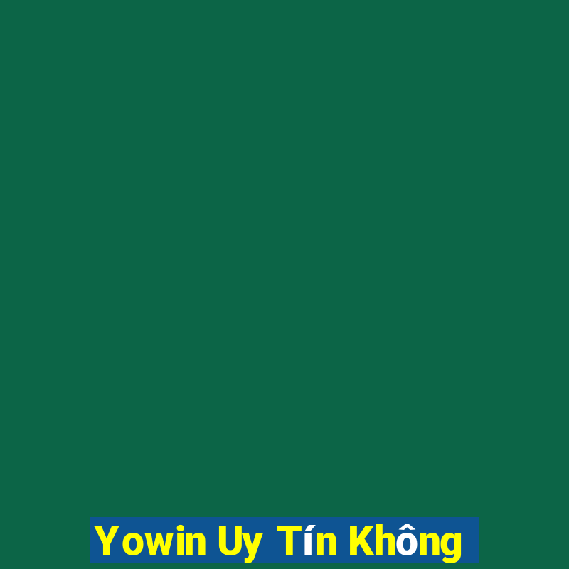 Yowin Uy Tín Không