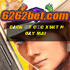 Cách đặt cược XSKT ngày mai