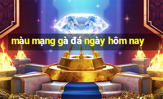 màu mạng gà đá ngày hôm nay