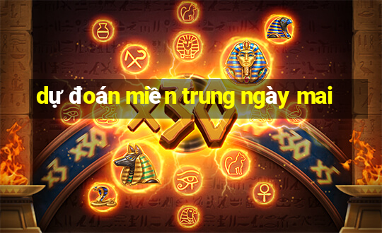 dự đoán miền trung ngày mai