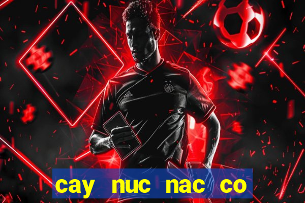 cay nuc nac co tac dung gi