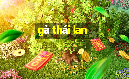 gà thái lan