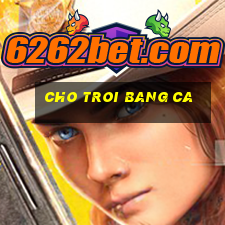 cho troi bang ca