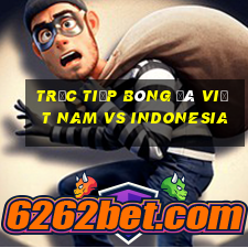 trực tiếp bóng đá việt nam vs indonesia