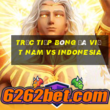 trực tiếp bóng đá việt nam vs indonesia