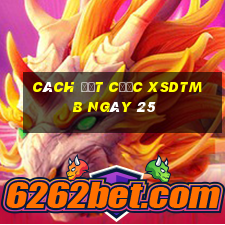 Cách đặt cược XSDTMB ngày 25