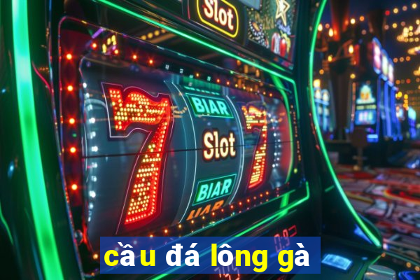 cầu đá lông gà