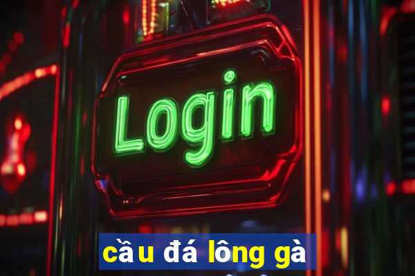 cầu đá lông gà