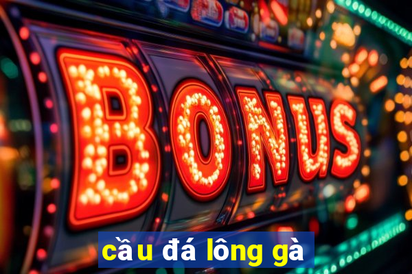 cầu đá lông gà