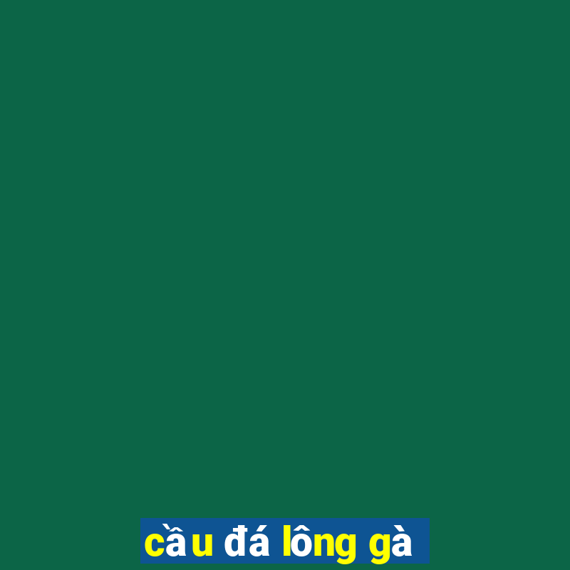 cầu đá lông gà