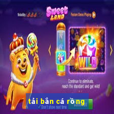 tai ban ca rong