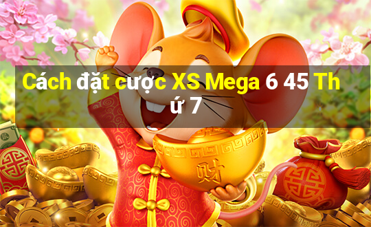 Cách đặt cược XS Mega 6 45 Thứ 7