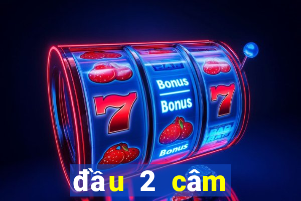 đầu 2 câm đánh con gì