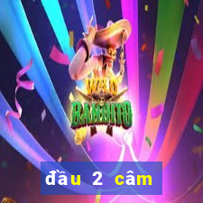 đầu 2 câm đánh con gì