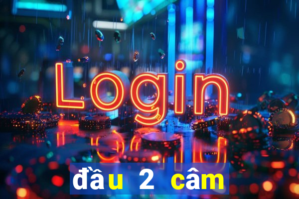 đầu 2 câm đánh con gì