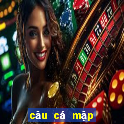 câu cá mập câu cá mập