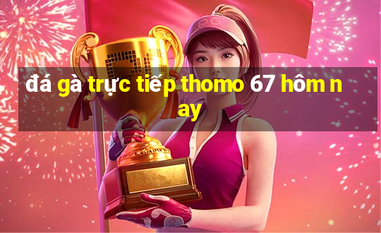 đá gà trực tiếp thomo 67 hôm nay