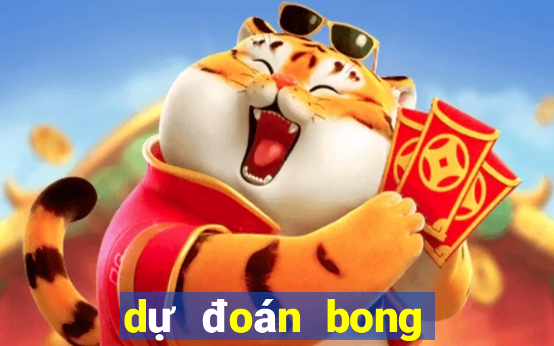 dự đoán bong da hom nay