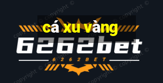 cá xu vàng