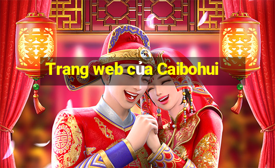 Trang web của Caibohui