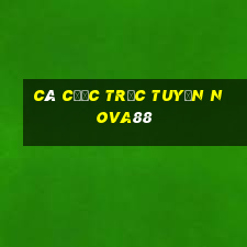 Cá cược trực tuyến nova88