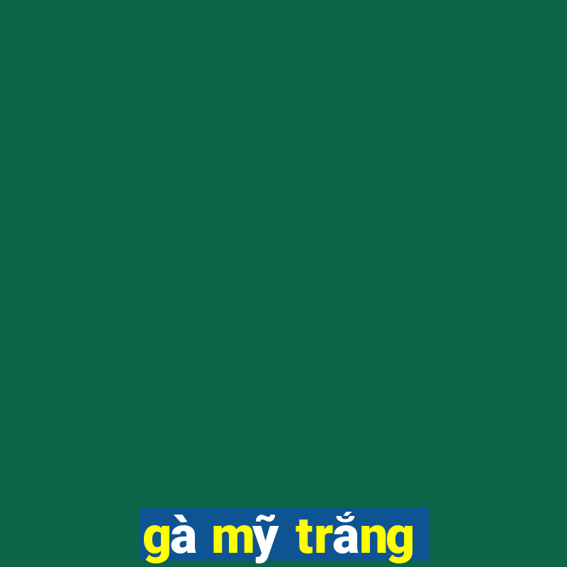 gà mỹ trắng