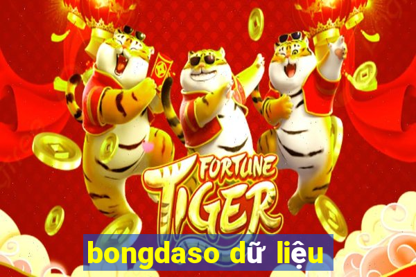 bongdaso dữ liệu