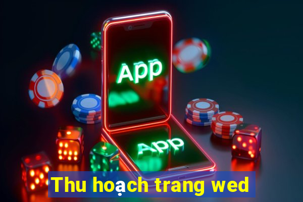 Thu hoạch trang wed