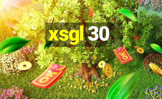 xsgl 30