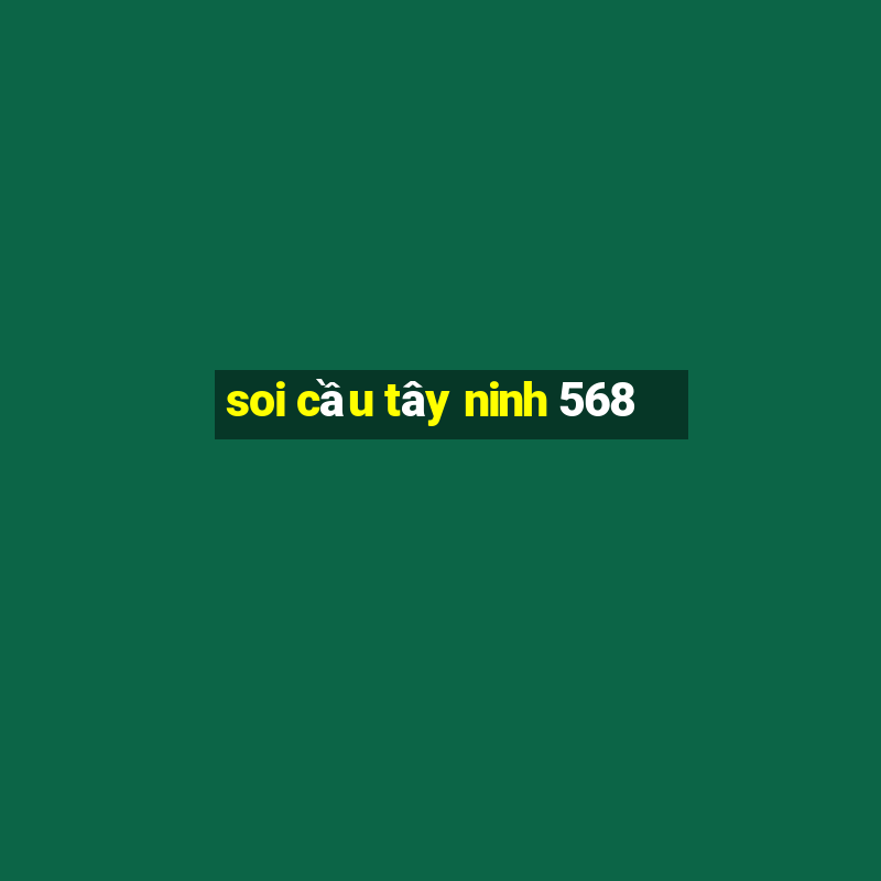 soi cầu tây ninh 568