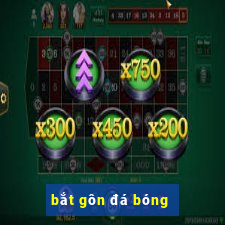 bắt gôn đá bóng